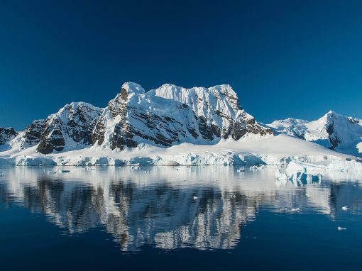 Ultimate Antarctica