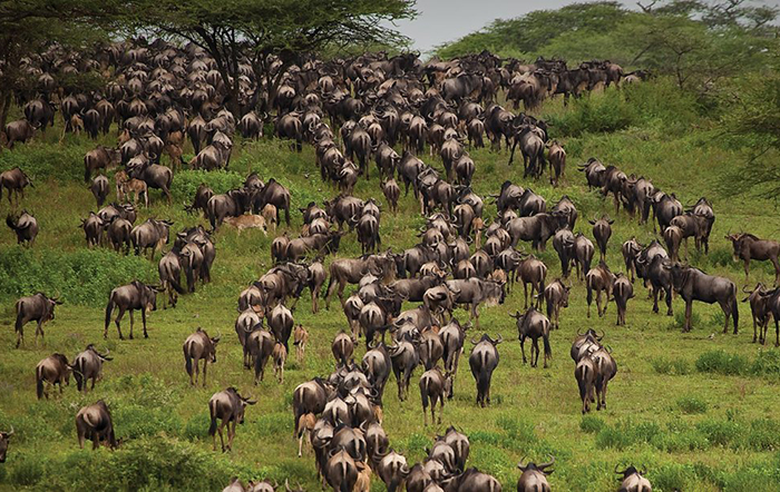 ATS Migration-2026-700x442px